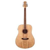Ashton D26EQ Dreadnought Acoustic Electric Guitar - Spalted Maple
