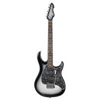 Peavey Raptor Custom Electric Guitar - Silverburst